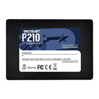 اس اس دی اینترنال پاتریوت مدل PATRIOT P210 ظرفیت 256 گیگابایت
